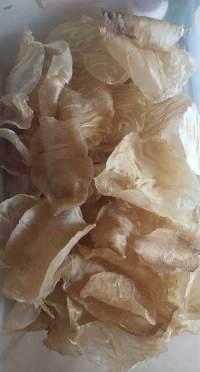Dried Fish Maw
