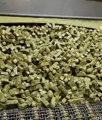 Bulk Alfalfa Premium Hay Cubes Sun Cured