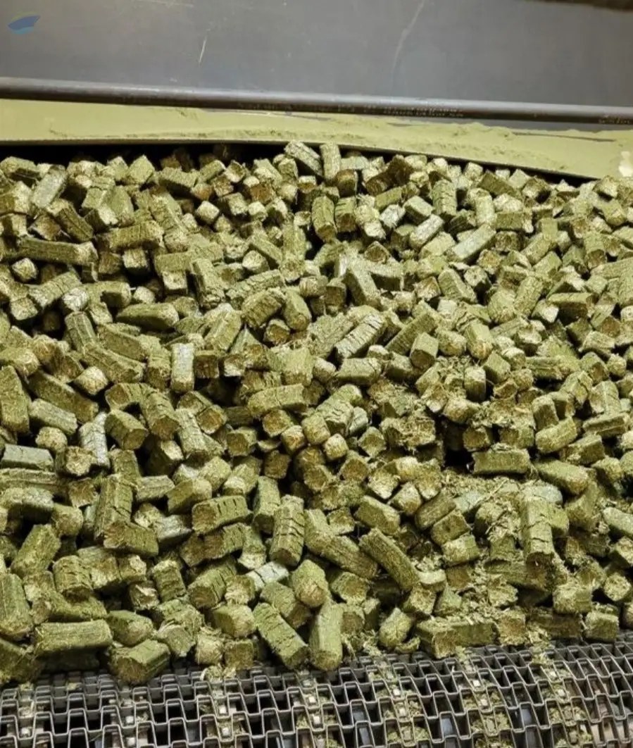 Bulk Alfalfa Premium Hay Cubes Sun Cured