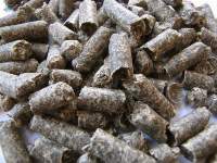 Sugarbeet Pulp Pellets