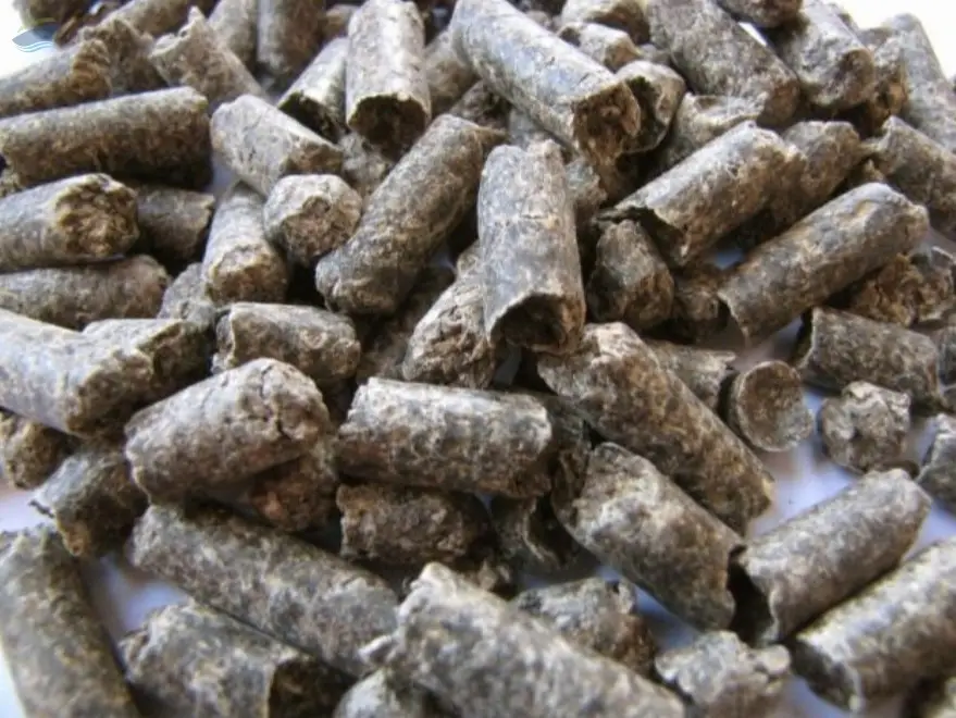 Sugarbeet Pulp Pellets