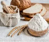 Hard Red Whole Wheat Flour Organic