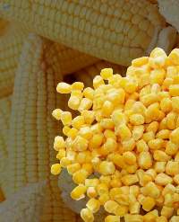 Sweet Corn Organic (Non-GMO) Frozen