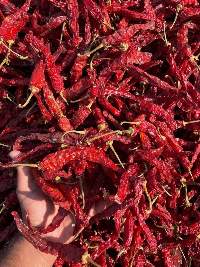 Dried Red Chilli