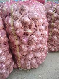 Fresh Garlic