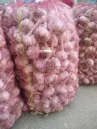 Fresh Garlic