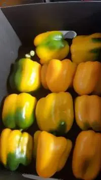 Fresh Peppers
