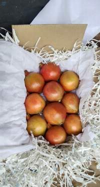 Fresh Pomegranates