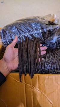 Vanilla Beans