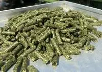 Alfalfa Pellets