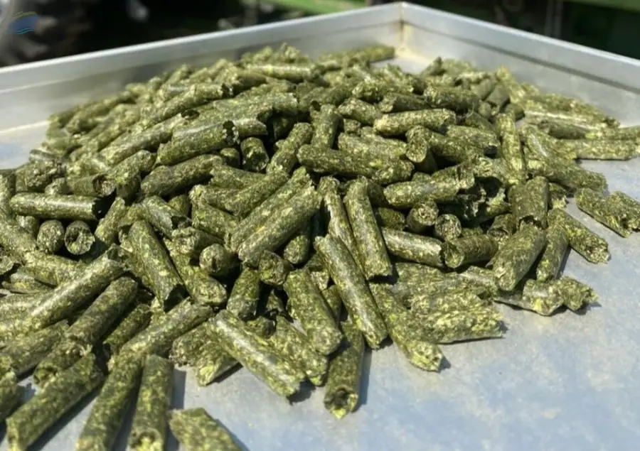 Alfalfa Pellets