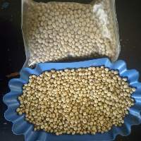 Soybeans