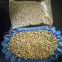 Soybeans