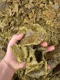 Oily Cottonseed Hulls