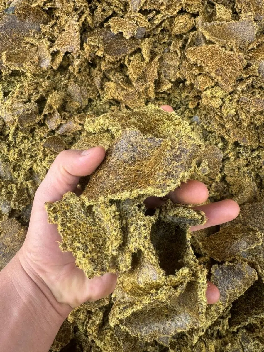 Oily Cottonseed Hulls