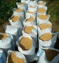 Soybeans