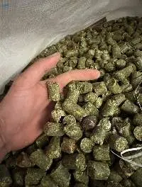 Alfalfa Pellets