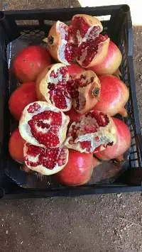Fresh Pomegranates