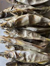 Dried Fish