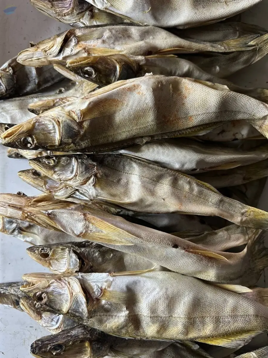 Dried Fish