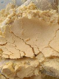 Besan Flour