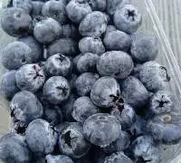 Fresh Black Grapes