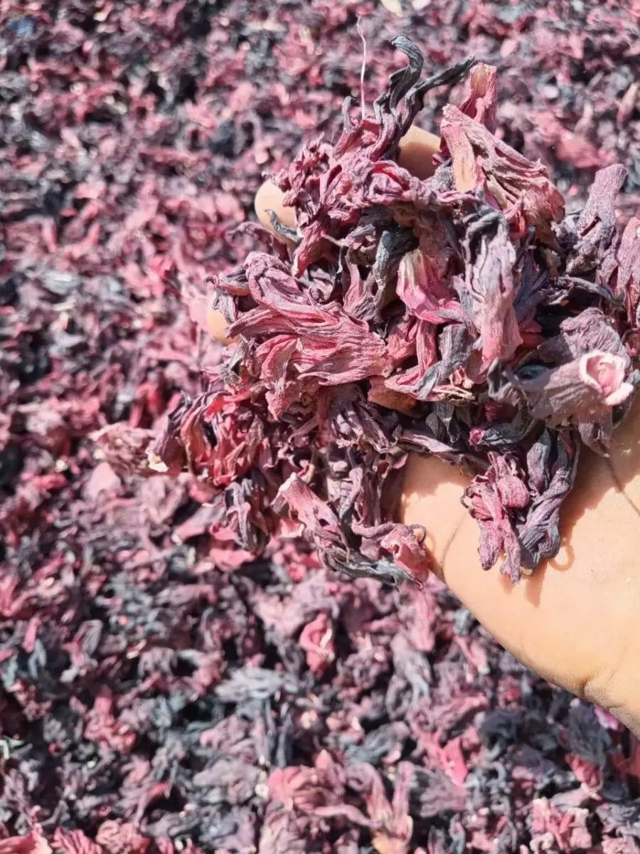 Dried Hibiscus