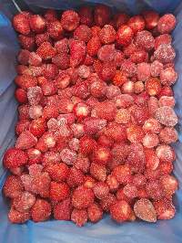Premium Frozen Strawberries