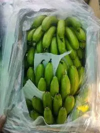 Fresh Bananas