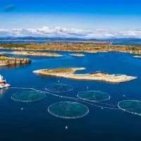Aquaculture Chemicals