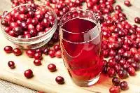 Juices, Purees and Concentrates