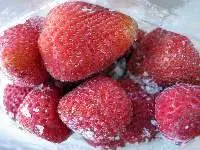 Frozen Fruits & Vegetables