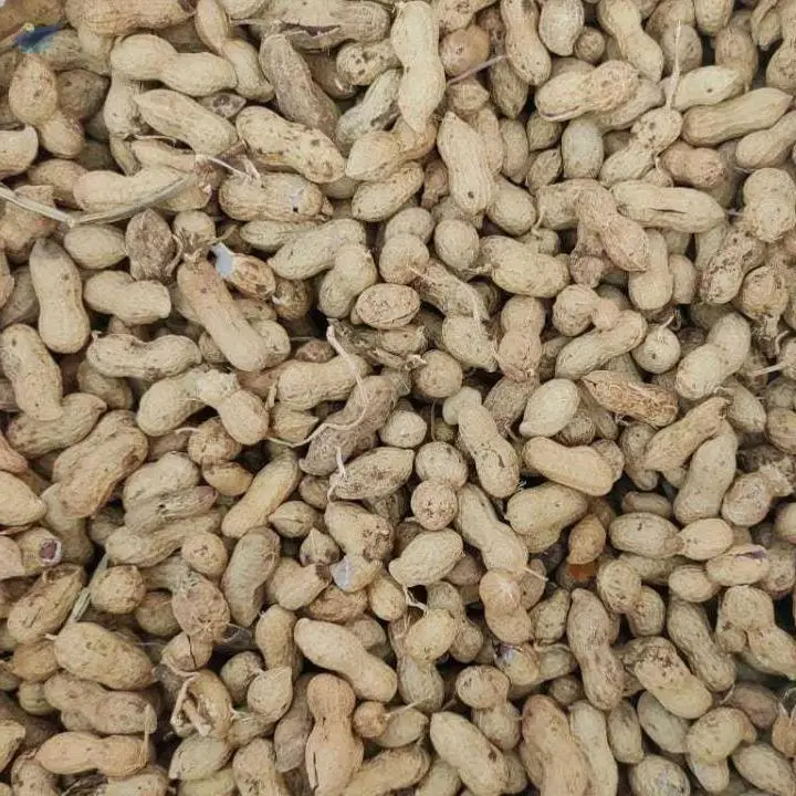 Raw Groundnut