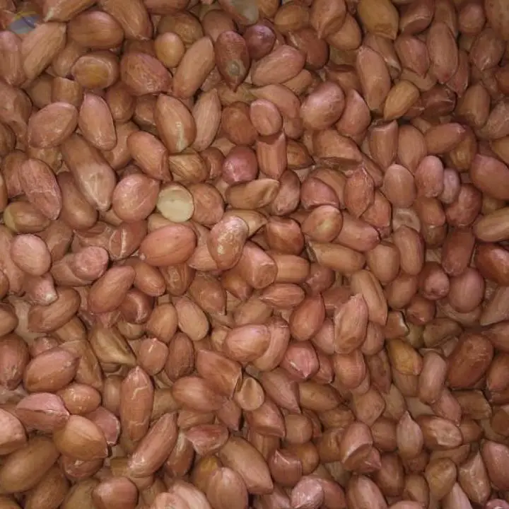 Bold Peanut Seed