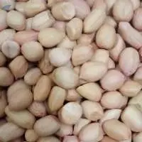 Java Peanut