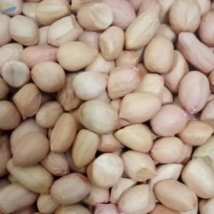 Java Peanut