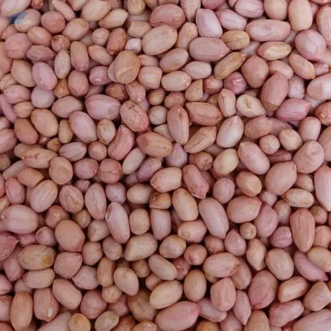 Raw Peanuts