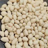 Blanched Peanuts
