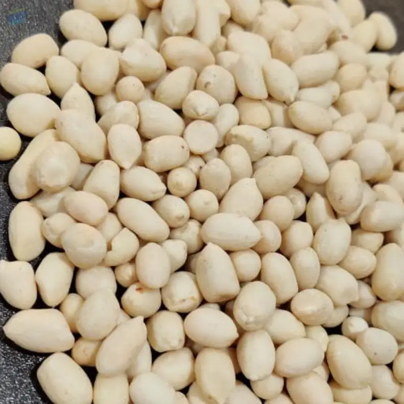 Blanched Peanuts