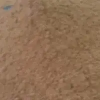 Dehydrated Garlic Powder