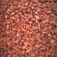 Cocoa Beans