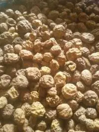 Premium Export Quality Tiger Nuts