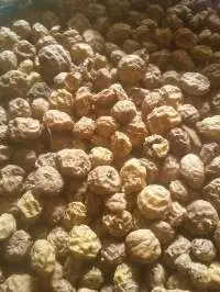 Tiger Nuts