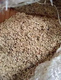 Premium Export Grade Sesame Seeds