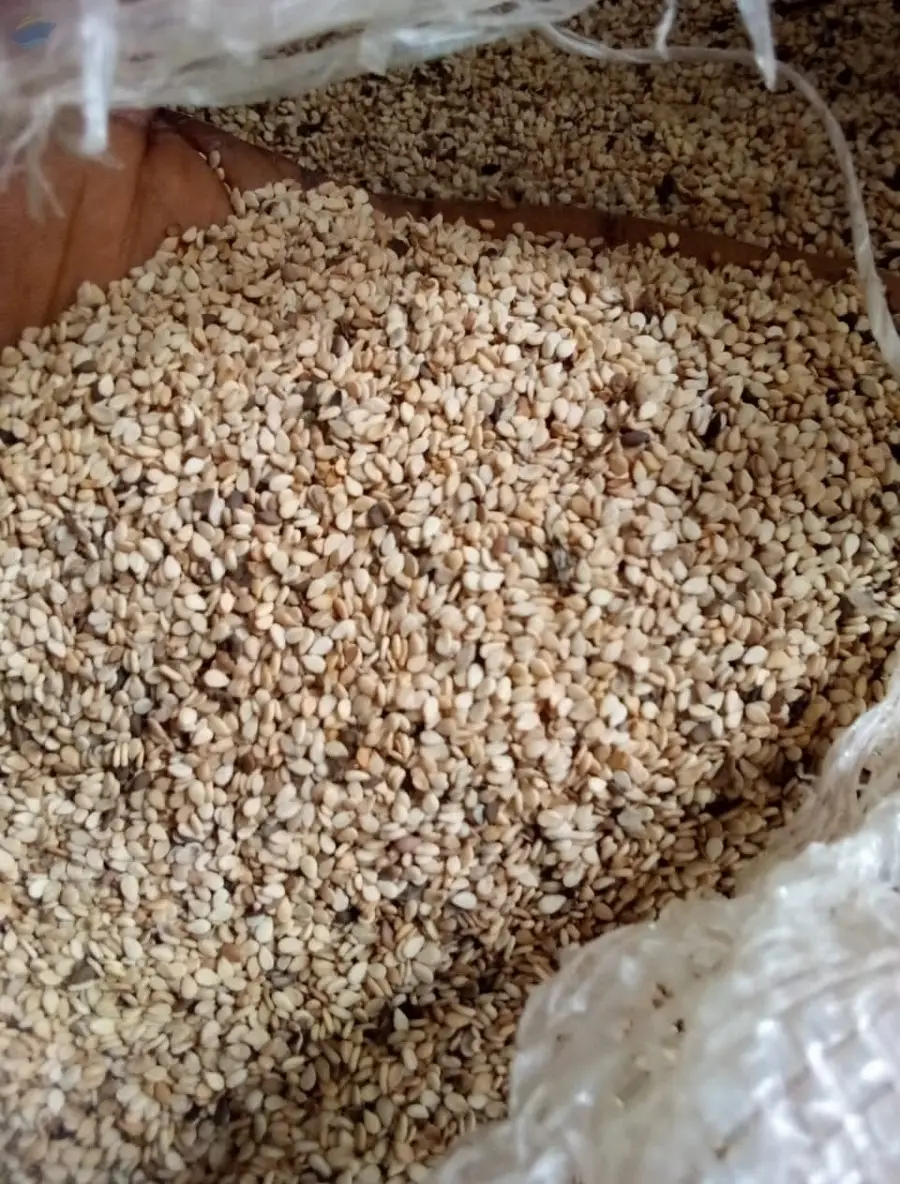 Sesame Seed
