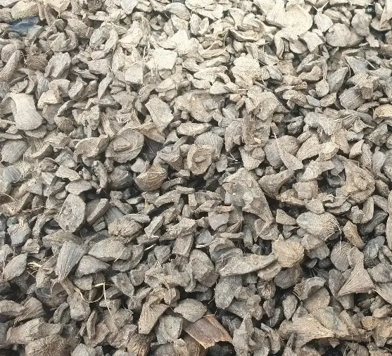 Premium High Quality Palm Kernel Shell