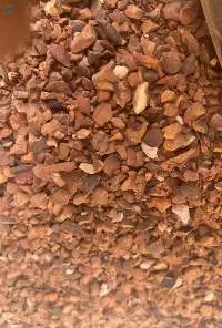 Dried Kola Nut Cut & Sifted