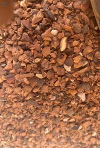 Premium Dried Kola Nut Cut & Sifted