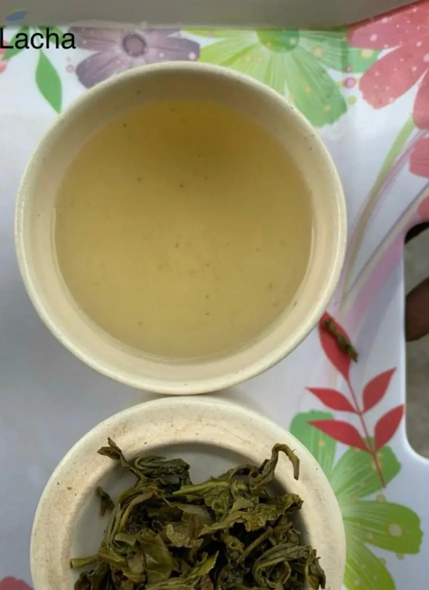 Green Tea - Lacha