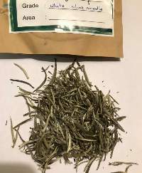 White Tea - Silver Needles